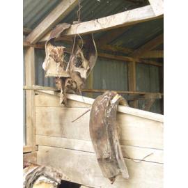 Stables, Ashley Downs 2009