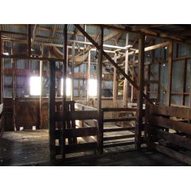 Ashley Downs Woolshed Interior, Dec 2009