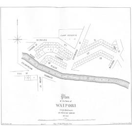 Waipori township 1865