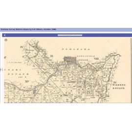 1888 Kuriwao Survey District