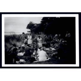 Evans Flat WDFF Picnic Point Papatowai