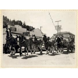 Robertson Family Lawrence Centennial 1961