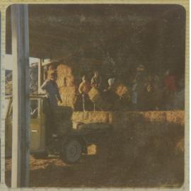 Beaumont School visit to Wood's Farm