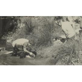 Beaumont School Goldmining