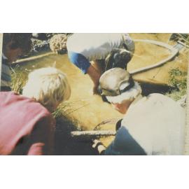 Beaumont School Goldmining