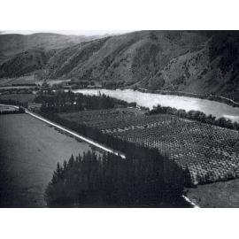 Riverside Orchard Beaumont