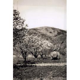 Fruit Picking Martin Orchard