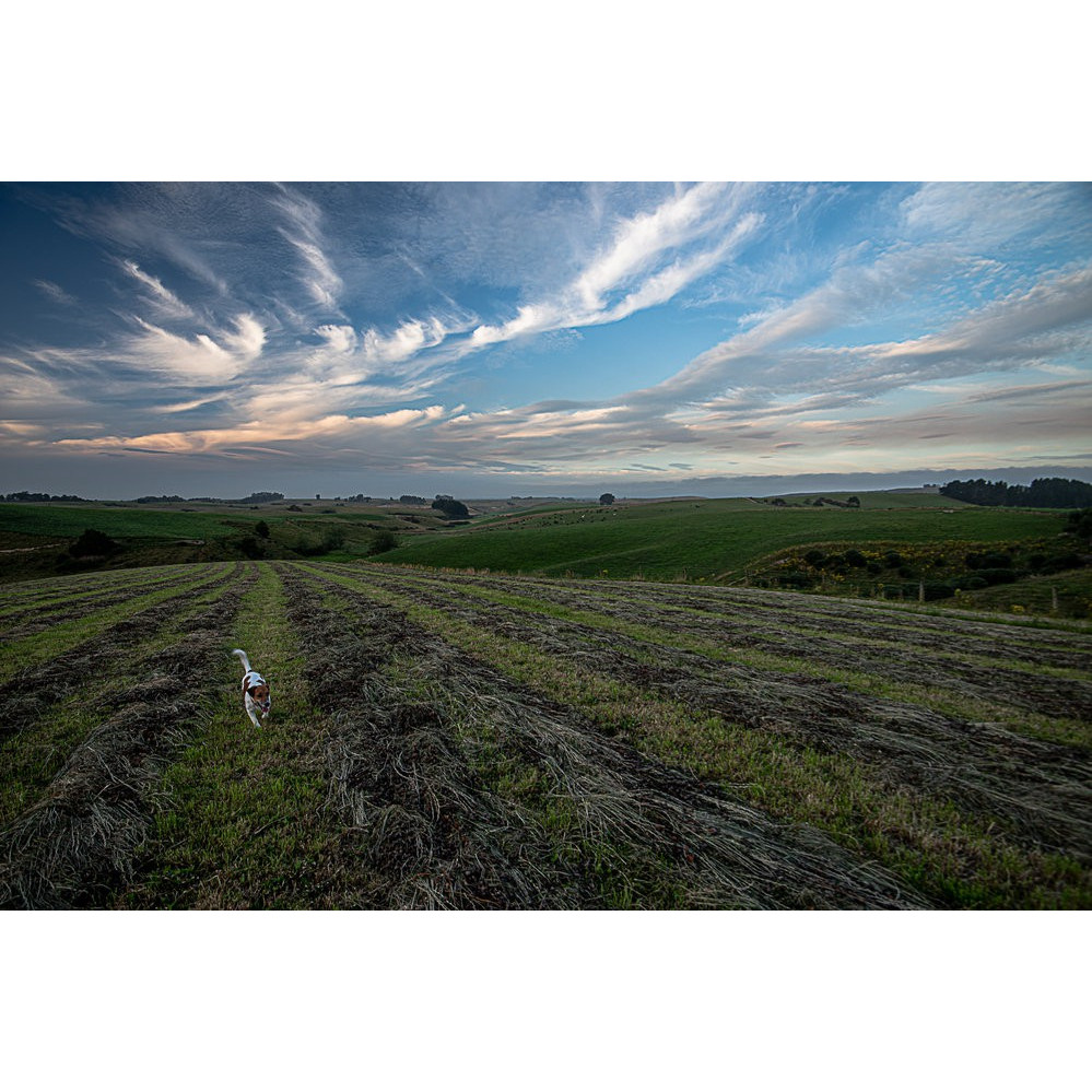 Agriculture